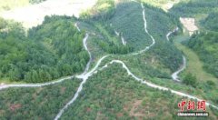 （乡村行·看振兴）福建宁